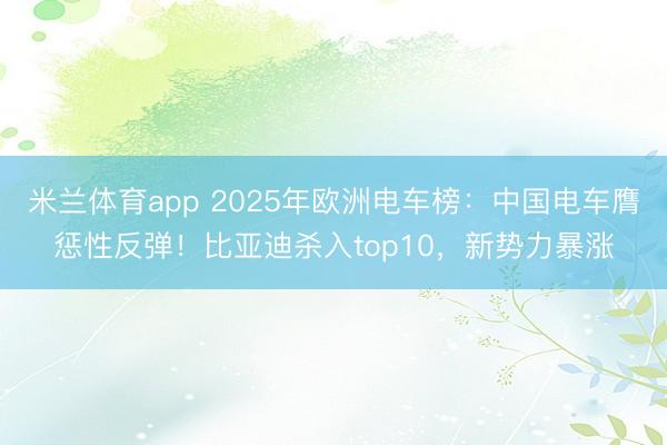 米兰体育app 2025年欧洲电车榜：中国电车膺惩性反弹！比亚迪杀入top10，新势力暴涨