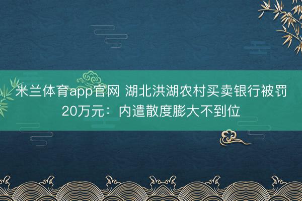 米兰体育app官网 湖北洪湖农村买卖银行被罚20万元：内遣散度膨大不到位